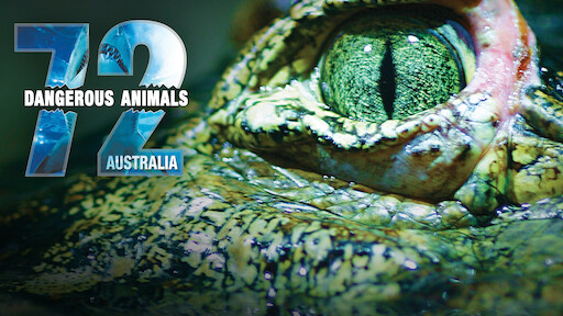 Watch 72 Dangerous Animals: Asia | Netflix Official Site Watch 72 Dangerous Animals: Asia | Netflix Official Site